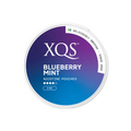XQS Blueberry Mint