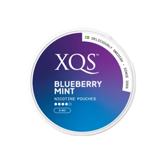XQS Blueberry Mint